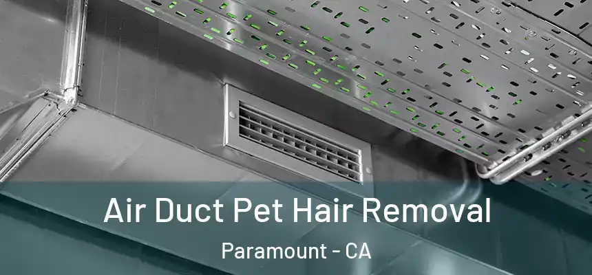Air Duct Pet Hair Removal Paramount - CA
