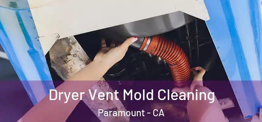 Dryer Vent Mold Cleaning Paramount - CA