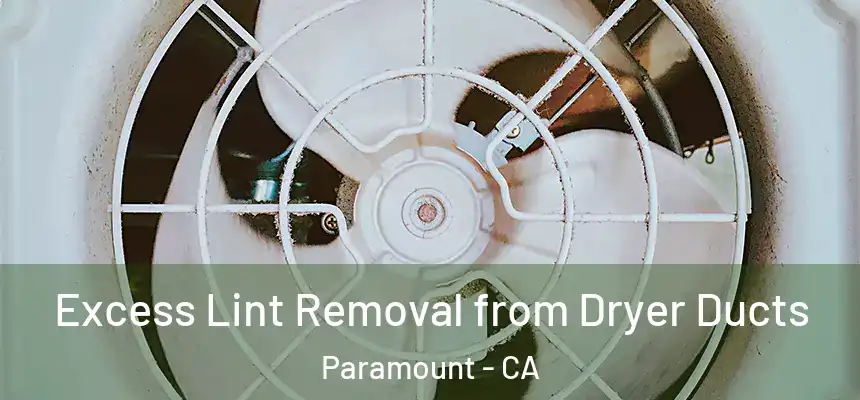 Excess Lint Removal from Dryer Ducts Paramount - CA