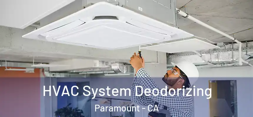 HVAC System Deodorizing Paramount - CA