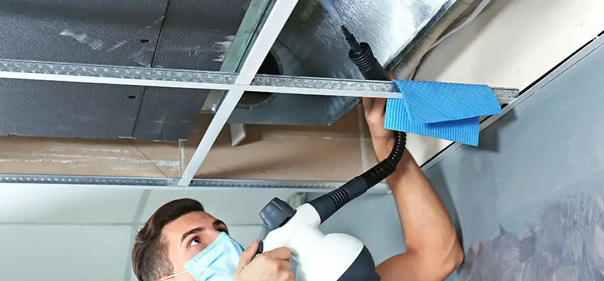 Our Air Duct Rodent Removal Services in Paramount, CA