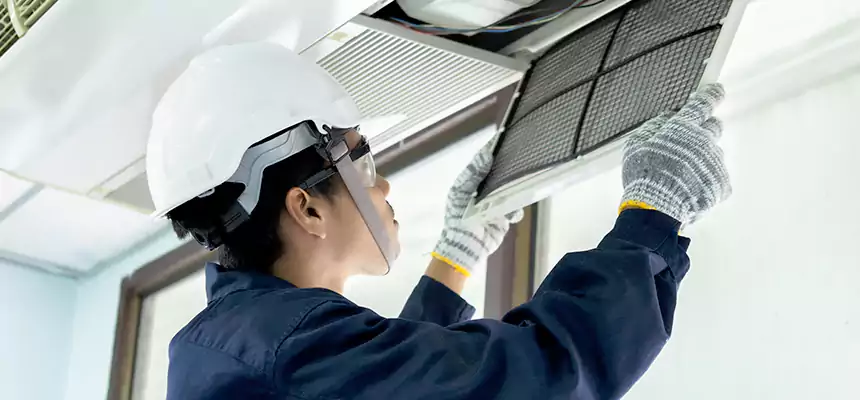 Our Mold & Mildew Removal from Air Ducts Services in Paramount, CA