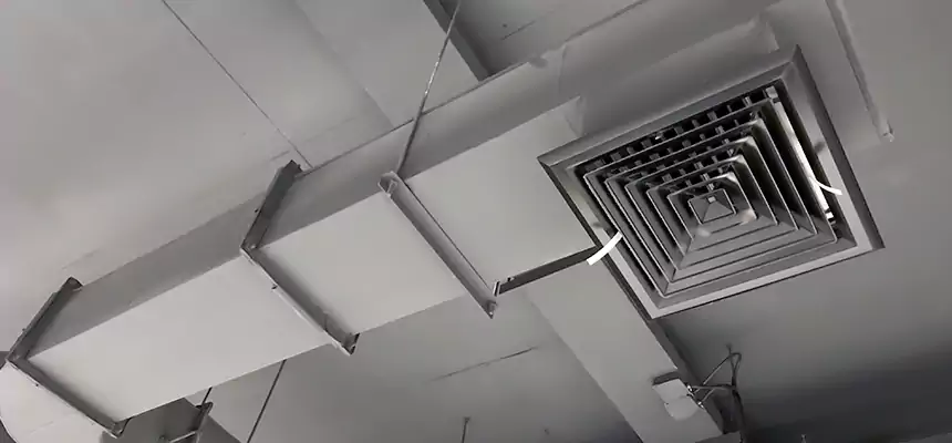 Our Pest Removal From Ducts Services in Paramount, CA