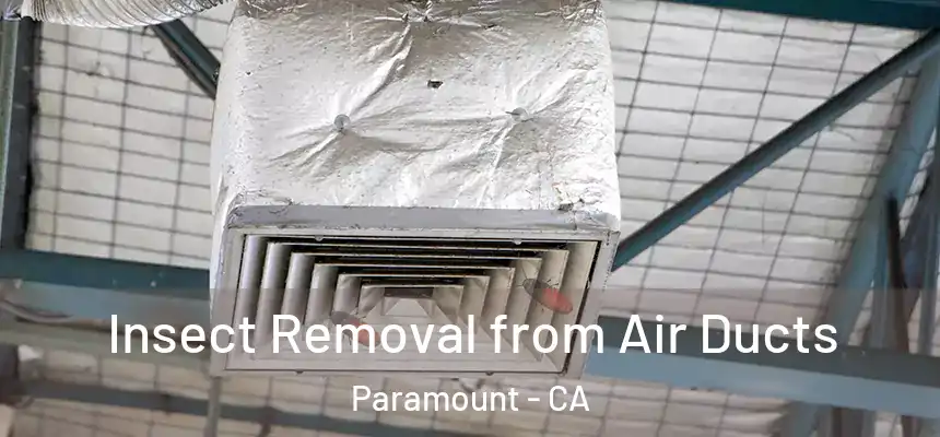 Insect Removal from Air Ducts Paramount - CA