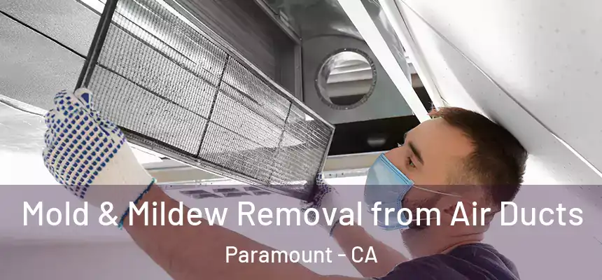 Mold & Mildew Removal from Air Ducts Paramount - CA