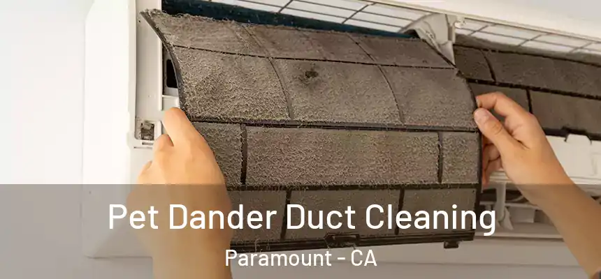 Pet Dander Duct Cleaning Paramount - CA