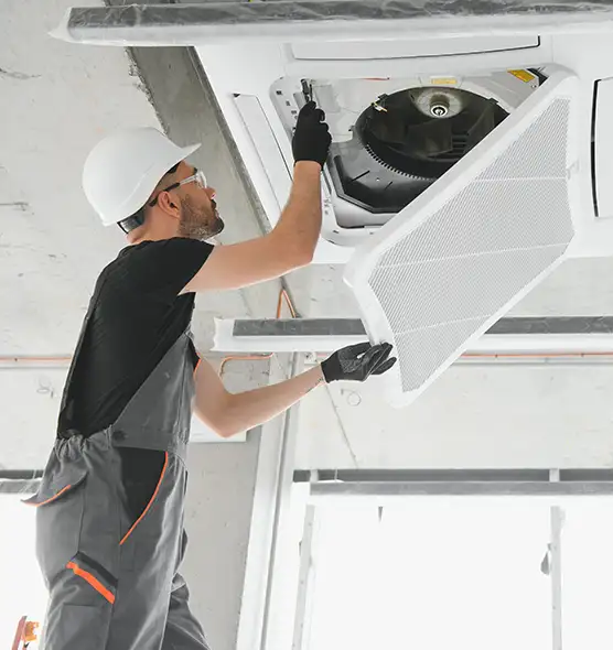 About Air Duct Rodent Removal in Paramount, CA