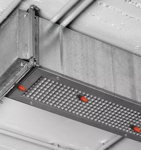 Affordable Insect Removal from Air Ducts in Paramount, CA