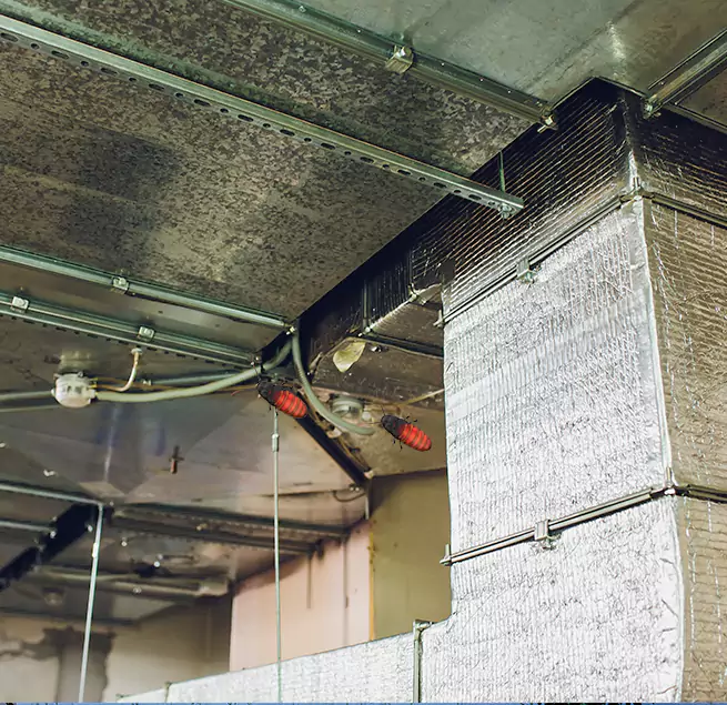 Why Homeowners & Businesses Trust Us in Paramount, CA?