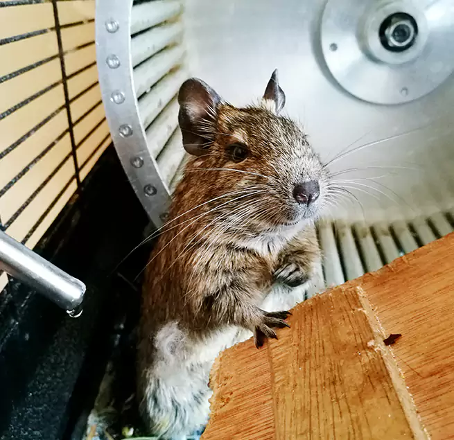 Why Homeowners & Businesses Trust Us Paramount, CA?