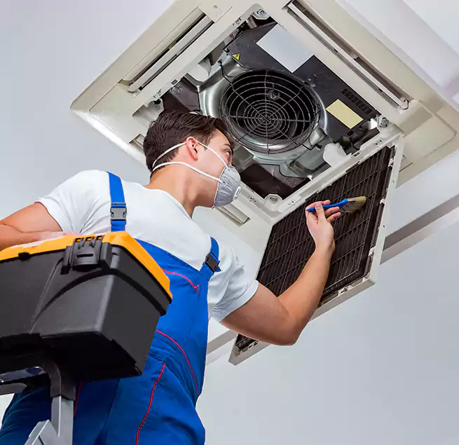 Why Homeowners & Businesses Trust Us in Paramount, CA?