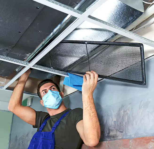 Why Homeowners Businesses Trust Us in Paramount, CA